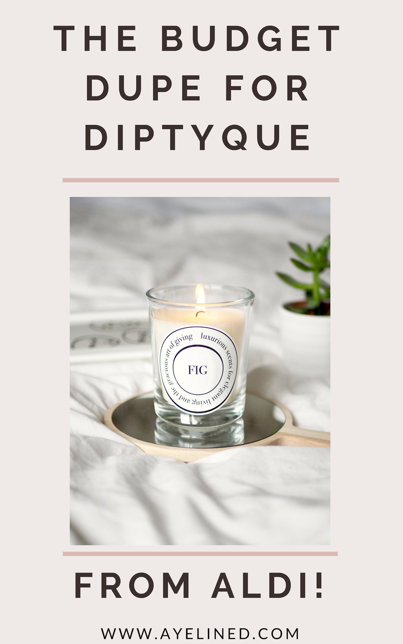 pinnable iage of aldi dupe for Diptyque