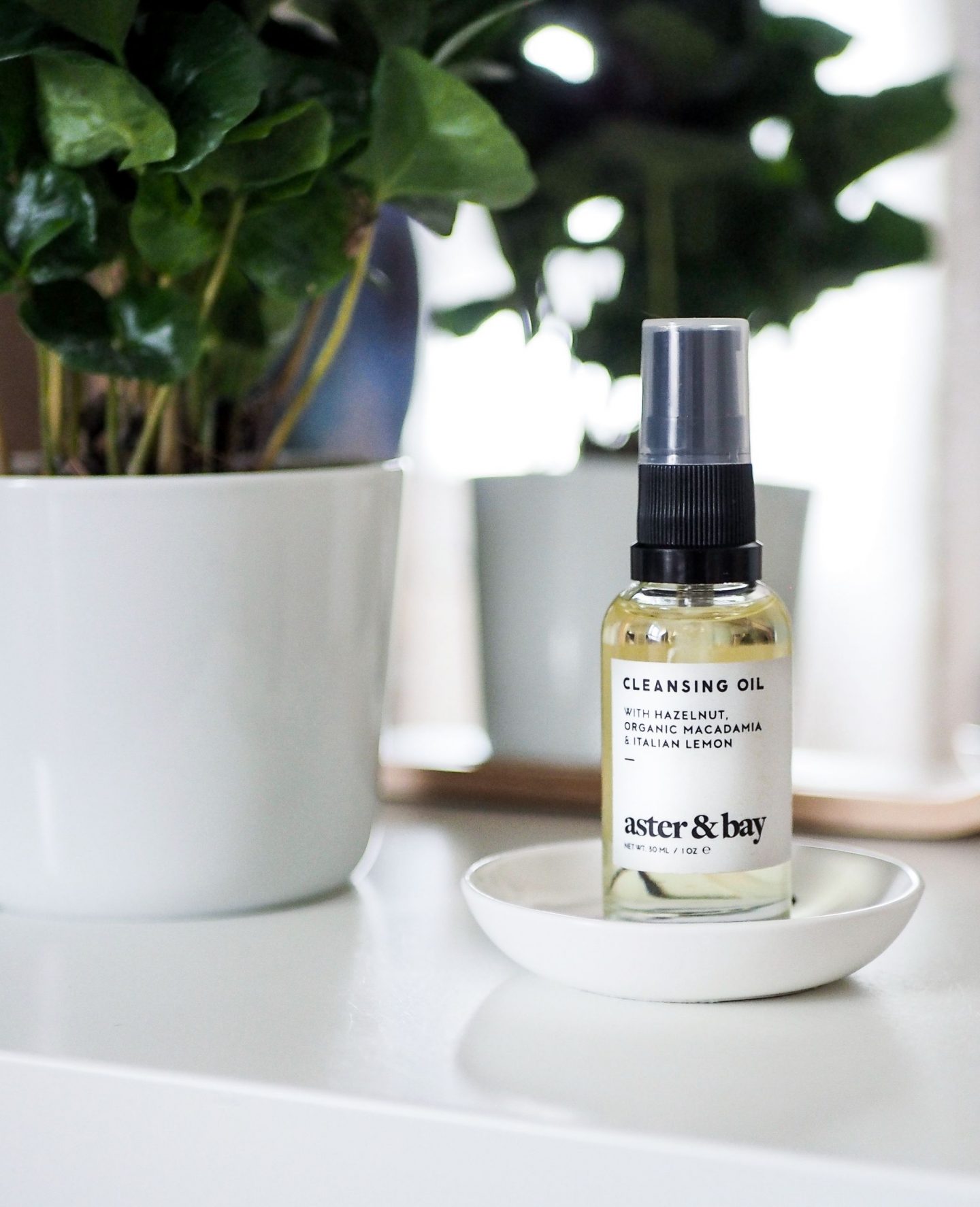ASTER AND BAY TRAVEL SIZE CLEANSER SITTING ON SMALL DISH WITH PLANT