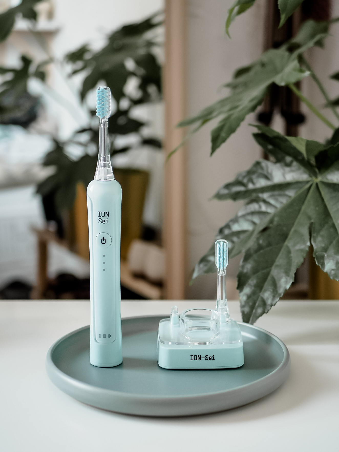 Sanyei ION-Sei Sonic Toothbrush