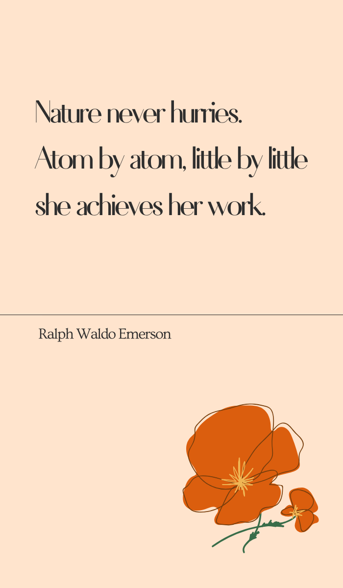 inspirational and motivational quotes to help you in times of struggle